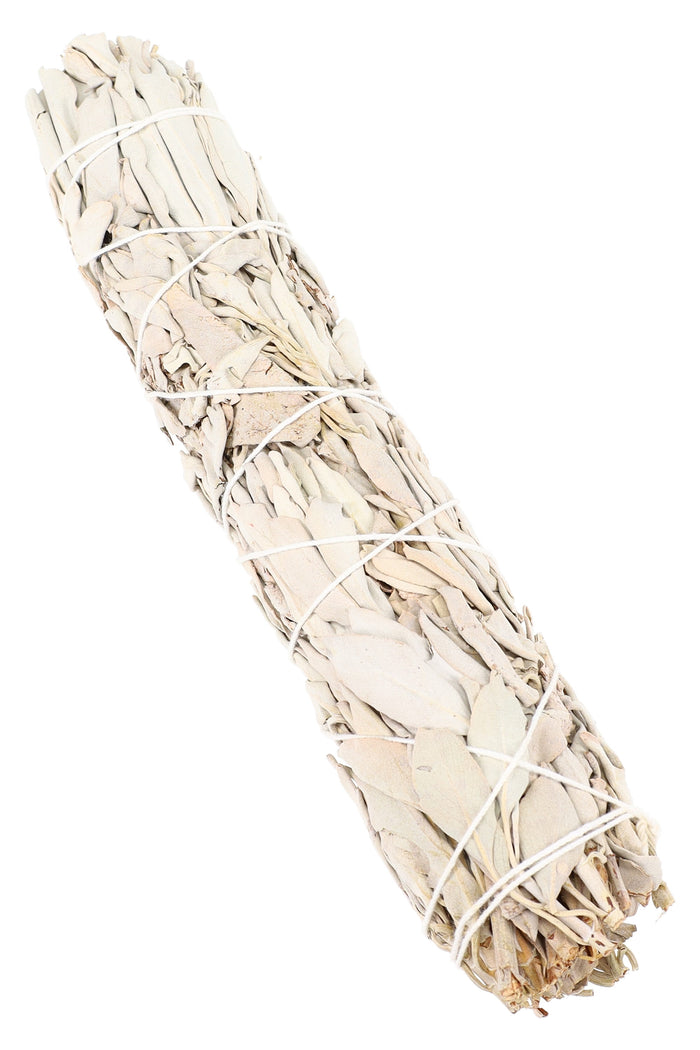 Nine-inch California white sage smudge stick wrapped in cotton twine on white backdrop showing texture and size.