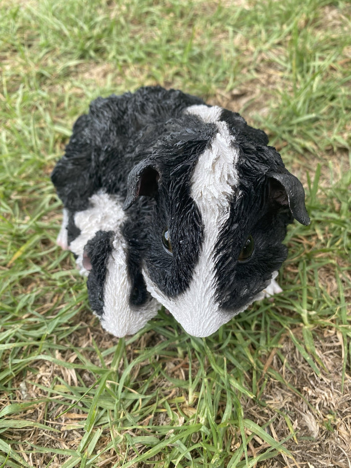 ABBYSSINIAN GUINEA PIG CAVY  ANIMAL GARDEN STATUE ORNAMENT FIGURINE BLACK COLOUR
