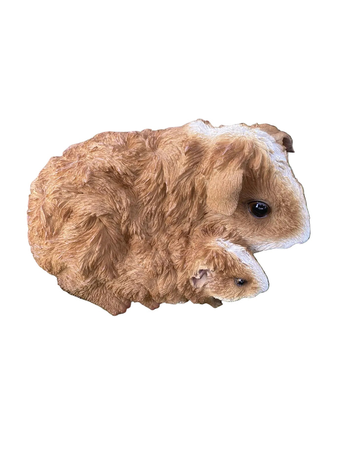 ABYSSINIAN GUINEA PIG CAVY  ANIMAL GARDEN STATUE ORNAMENT FIGURINE BROWN COLOUR