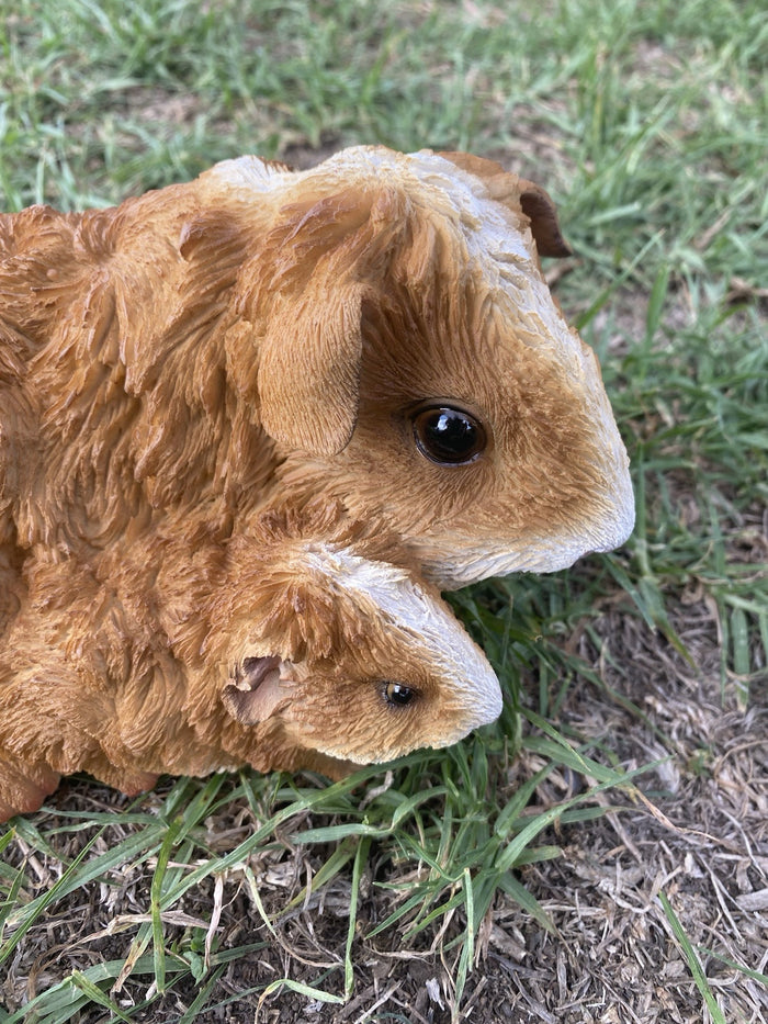 ABYSSINIAN GUINEA PIG CAVY  ANIMAL GARDEN STATUE ORNAMENT FIGURINE BROWN COLOUR