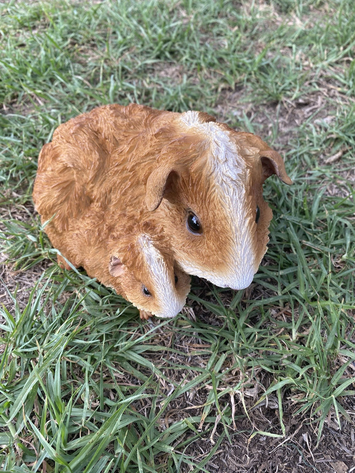 ABYSSINIAN GUINEA PIG CAVY  ANIMAL GARDEN STATUE ORNAMENT FIGURINE BROWN COLOUR