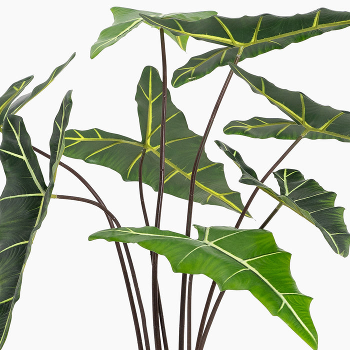 Green leaves with white veins on a white background