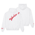 Alpha Omicron Pi 1897 Avenue Pullover Hoodie