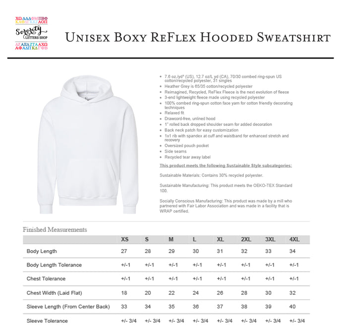 Alpha Omicron Pi 1897 Avenue Pullover Hoodie