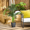 Potted plant on a wooden deck with a white cushioned chair and yellow pillow.
