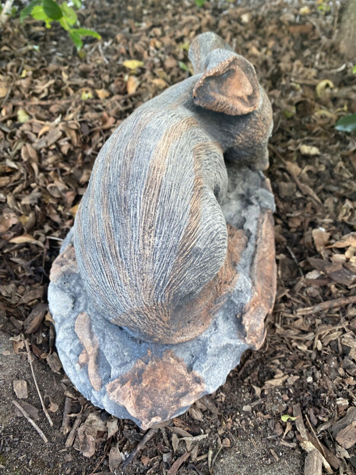 Australian Bilby Statue Ornament Animal Concrete Cement Garden Australian Made
