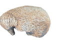 Australian Echidna Animal Concrete Cement Garden Statue Australian Made