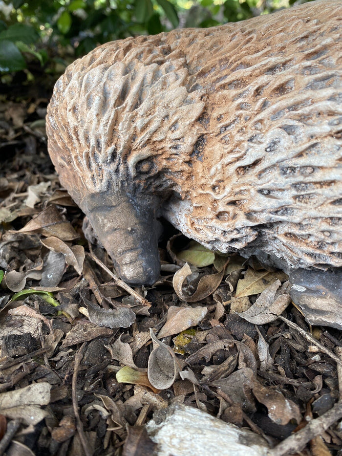 Australian Echidna Animal Concrete Cement Garden Statue Australian Made