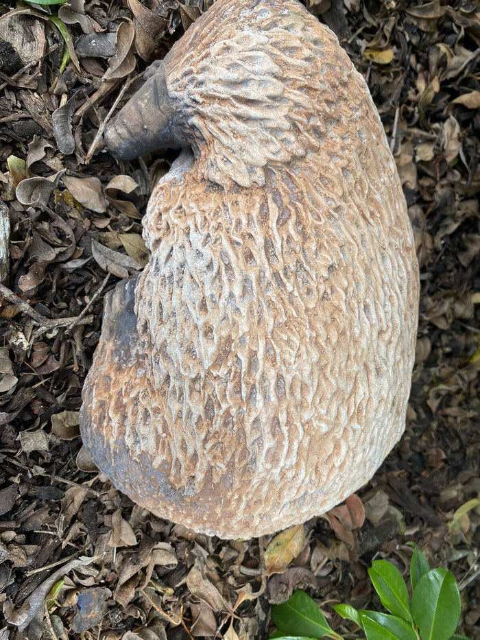 Australian Echidna Animal Concrete Cement Garden Statue Australian Made