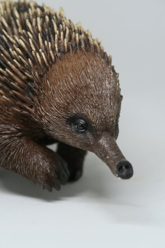 AUSTRALIAN ECHIDNA ANIMAL GARDEN STATUE ORNAMENT FIGURINE