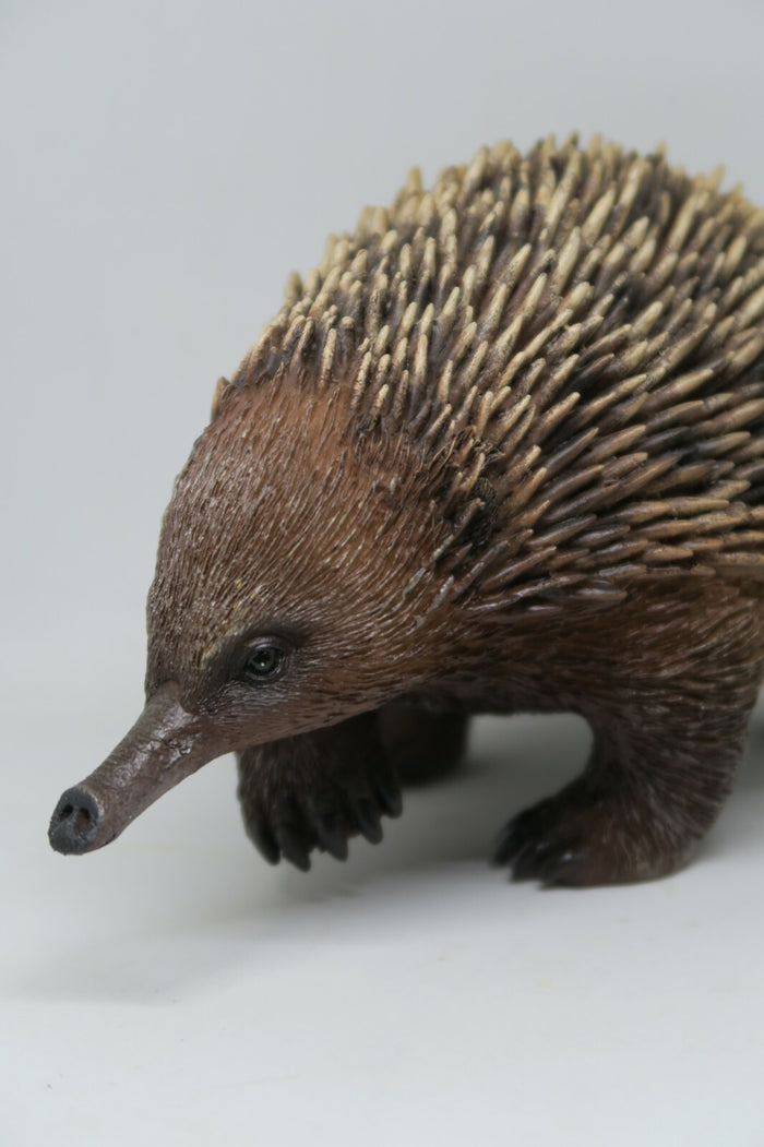AUSTRALIAN ECHIDNA ANIMAL GARDEN STATUE ORNAMENT FIGURINE