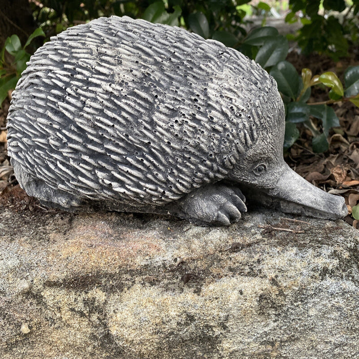 Australian Echidna Statue Ornament Animal Concrete Cement Garden Australian Made