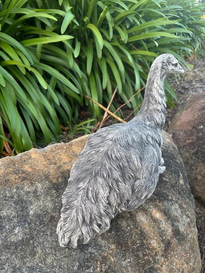 22nice4me Garden Statues handcrafted grey concrete emu bird ornament standing on a large rock in a garden