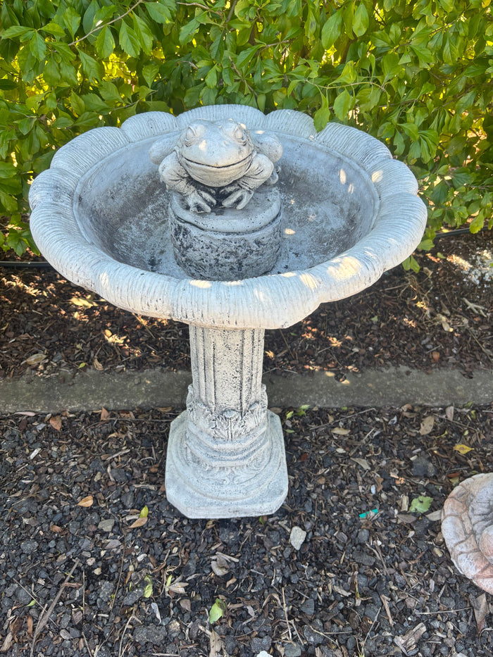Australian made grey concrete bird bath featuring a detailed frog ornament in a garden setting