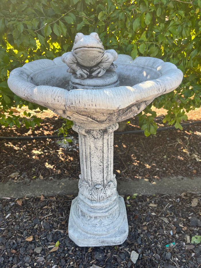 grey concrete bird bath featuring a detailed frog ornament on a pedestal in a garden setting