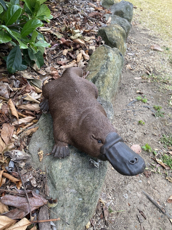 hand-painted brown concrete platypus garden ornament standing on a rock