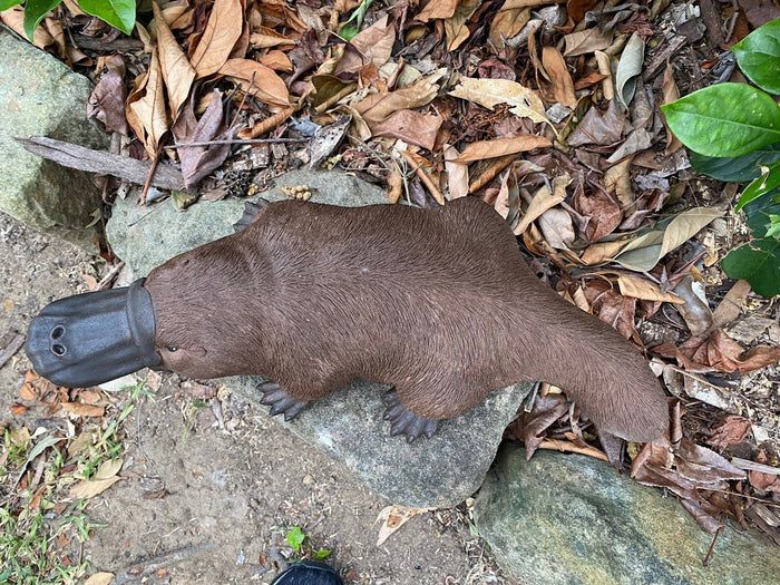hand-painted concrete platypus ornament in brown, positioned on a garden rock