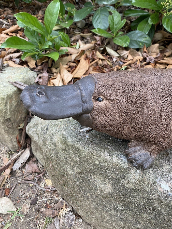 hand-painted concrete platypus ornament with realistic brown fur texture on a garden rock
