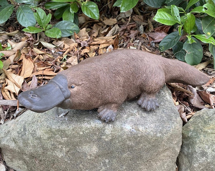 brown concrete platypus sculpture resting on a rock in a garden setting
