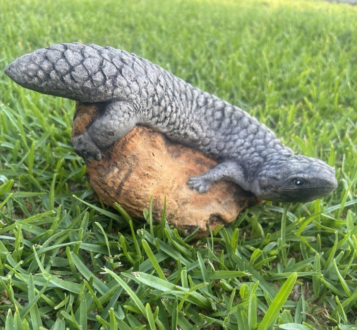 22nice4me Garden Statues realistic concrete Shingleback lizard ornament resting on a rock in a green grass garden