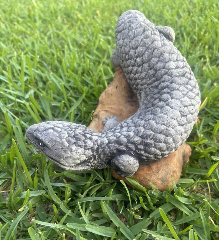 22nice4me Garden Statues realistic concrete Shingleback lizard ornament with textured scales resting on a rock