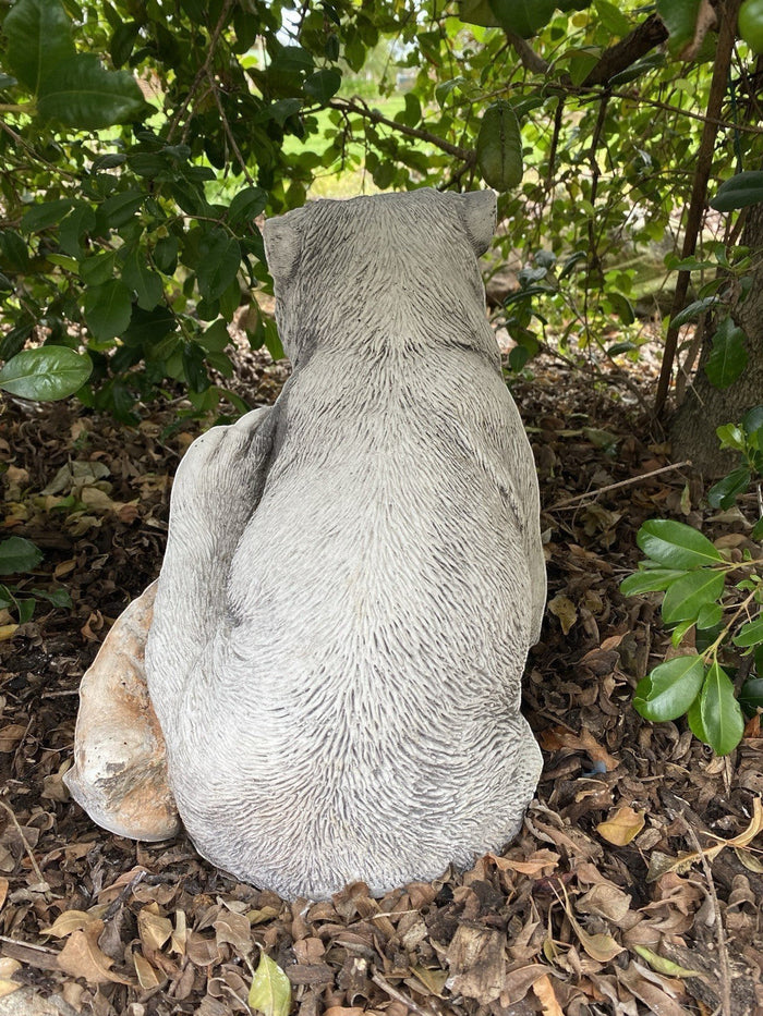 22nice4me Garden Statues concrete wombat figurine scratching itself, positioned outdoors under green foliage.