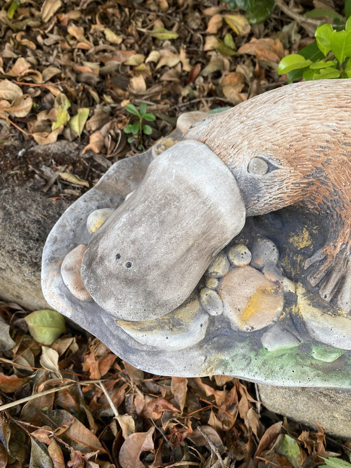 22nice4me Garden Statues concrete platypus sculpture with a matt finish resting on a rocky base in a garden setting