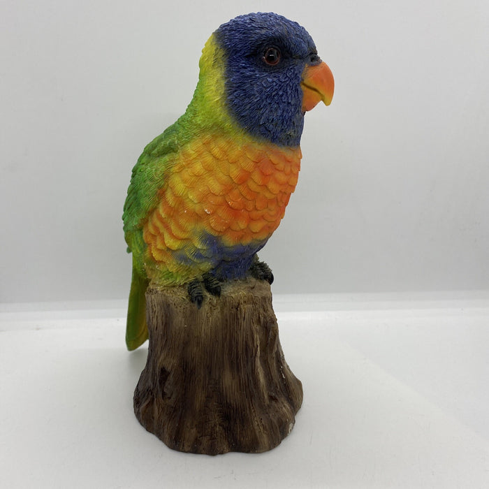 AUSTRALIAN RAINBOW LORIKEET BIRD ANIMAL GARDEN STATUE ORNAMENT  MONEY BOX