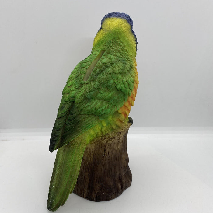 AUSTRALIAN RAINBOW LORIKEET BIRD ANIMAL GARDEN STATUE ORNAMENT  MONEY BOX
