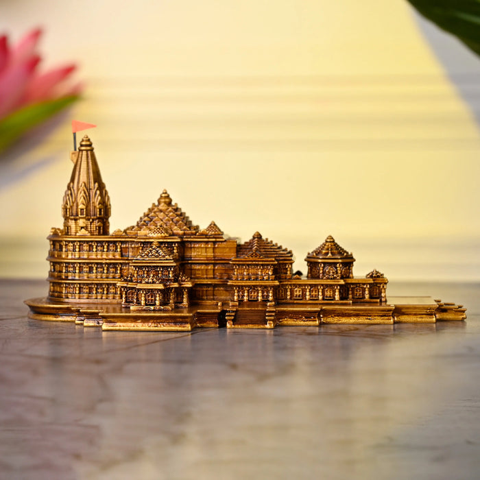 Ayodhya Ram Mandir Murti