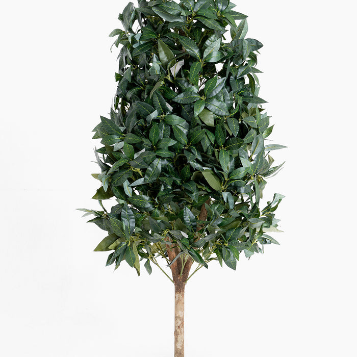 Artificial topiary tree with dense green leaves on a white background