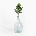 Bay foliage spray