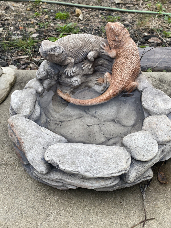 Bearded Dragon Bird Bee Bath Feeder Concrete Garden Statue Australian Made