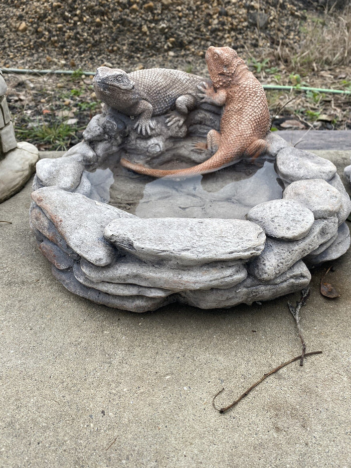 Bearded Dragon Bird Bee Bath Feeder Concrete Garden Statue Australian Made