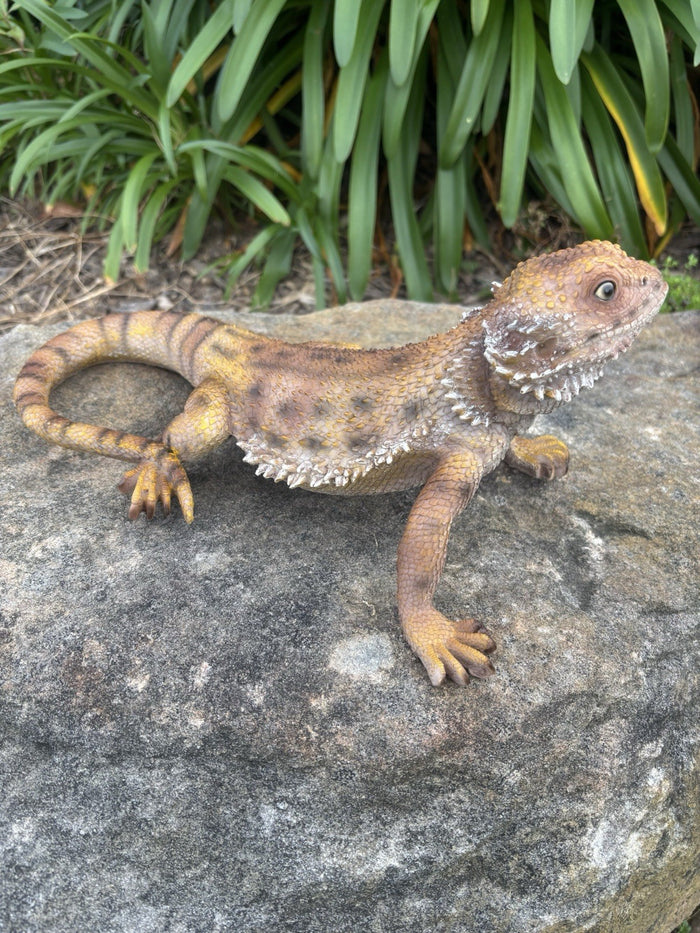 Bearded Dragon Lizard Garden Statue Ornament Figurine Life Size Figurine