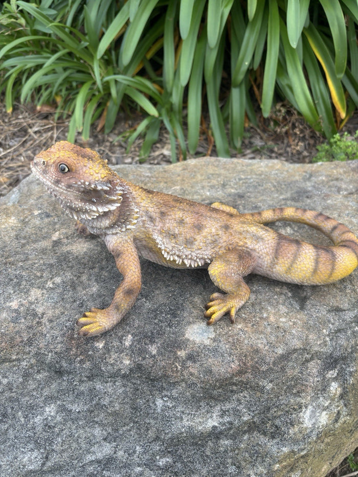 Bearded Dragon Lizard Garden Statue Ornament Figurine Life Size Figurine