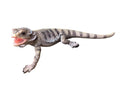 Bearded Dragon Lizard Garden Statue Ornament Figurine