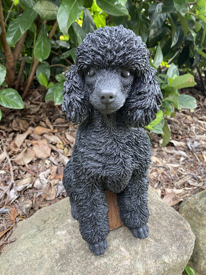 Front view concrete poodle garden statue outdoor dog ornament