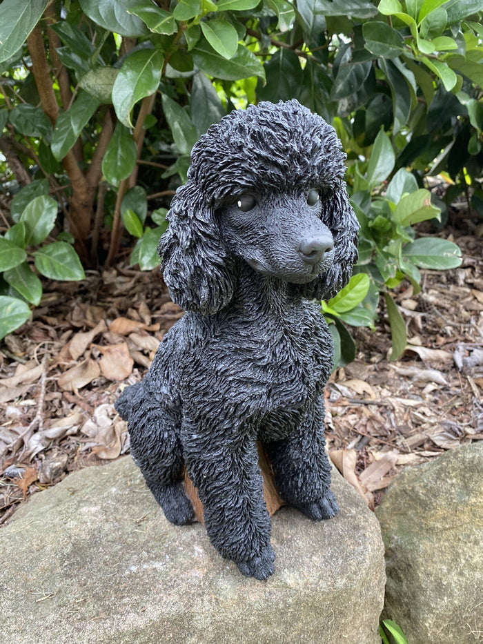 Close up detail of concrete poodle garden statue textured cement finish