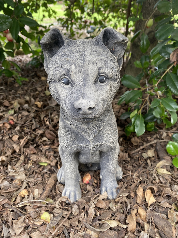 Blue Heeler concrete garden statue outdoor dog ornament