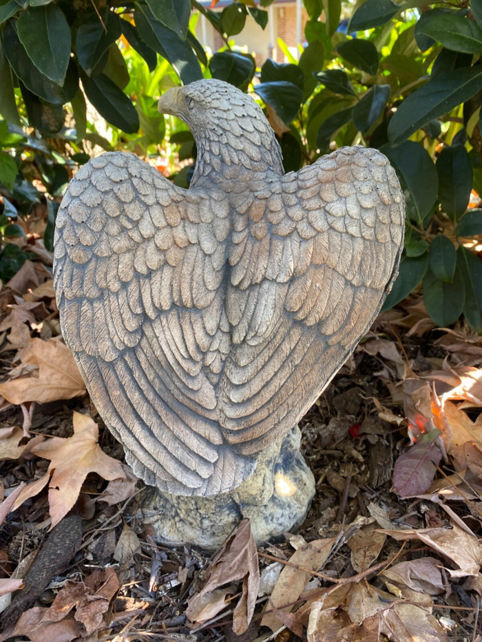 Bold Eagle Bird Statue Ornament Animal Concrete Garden Australian Made