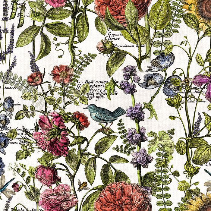 Botanical Journal Digital Drawings Y3239-1 White