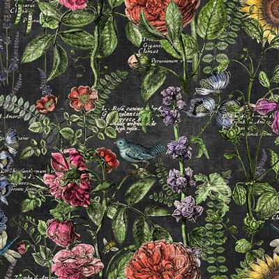 Botanical Journal Digital Drawings Y3239-3 Black