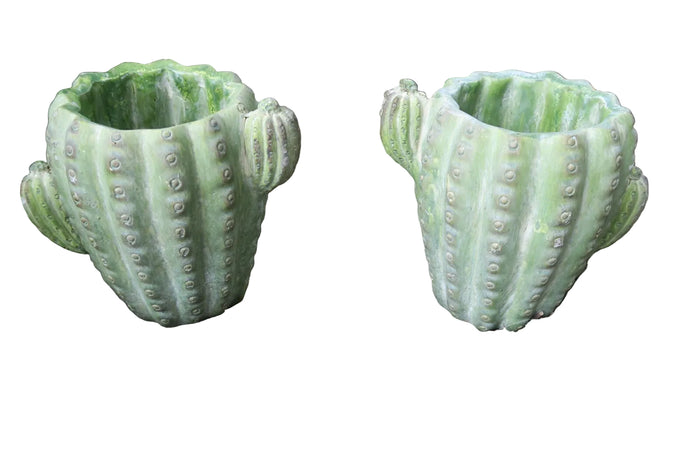 CACTUS PHOENIX POT PLANT PLANTER  SUCCULENTS GARDEN PLANT FEATURE SET OF 2