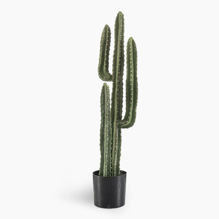 artificial large canary spurge cactus on white background