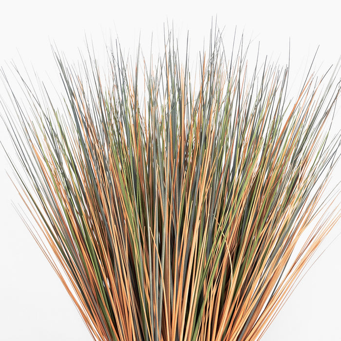 Close-up of dried grass with brown and green hues on a white background