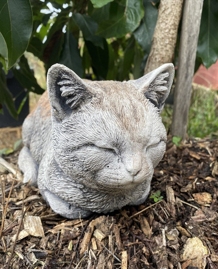 Cat Statue Memorial Sleeping Kitten Grey Animal Concrete Cement Australian Made