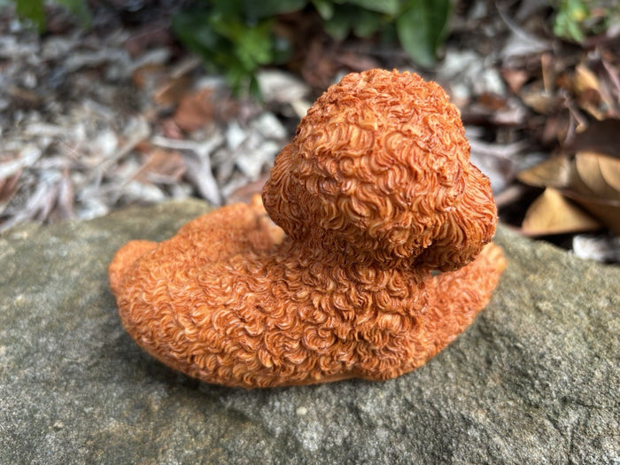CAVOODLE SPOODLE POODLE STATUE APRICOT PUPPY DOG ANIMAL GARDEN ORNAMENT