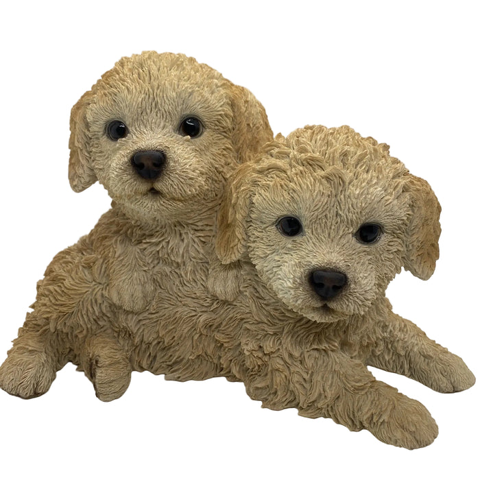 CAVOODLE STATUE CREAM PUPPY DOG ANIMAL GARDEN ORNAMENT SCULPTURE MONAY BOX