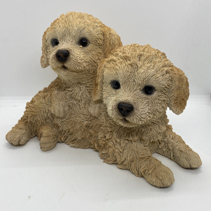 CAVOODLE STATUE CREAM PUPPY DOG ANIMAL GARDEN ORNAMENT SCULPTURE MONAY BOX